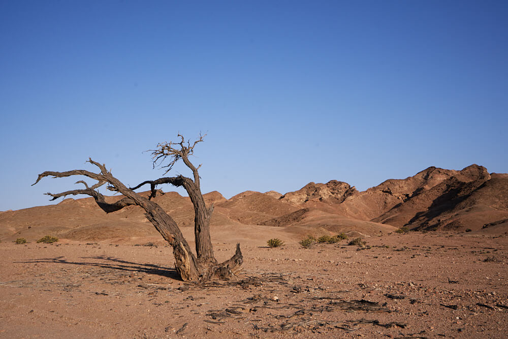 The picture shows the landscape in the canyon near Swakopmund