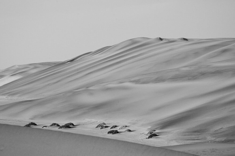 Das Bild zeigt Impressionen aus den Dünen um Swakopmund in schwarz/weiss.