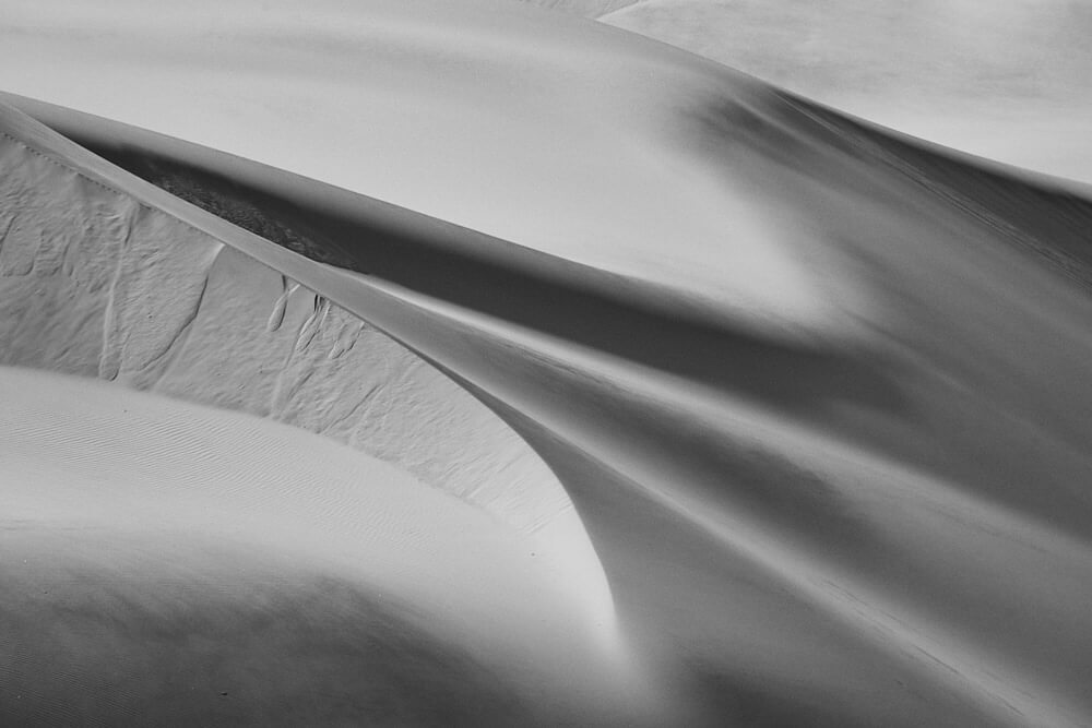 The picture shows impressions from the dunes around Swakopmund in black and white.