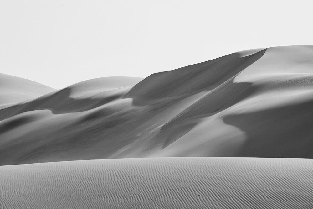 The picture shows impressions from the dunes around Swakopmund in black and white.