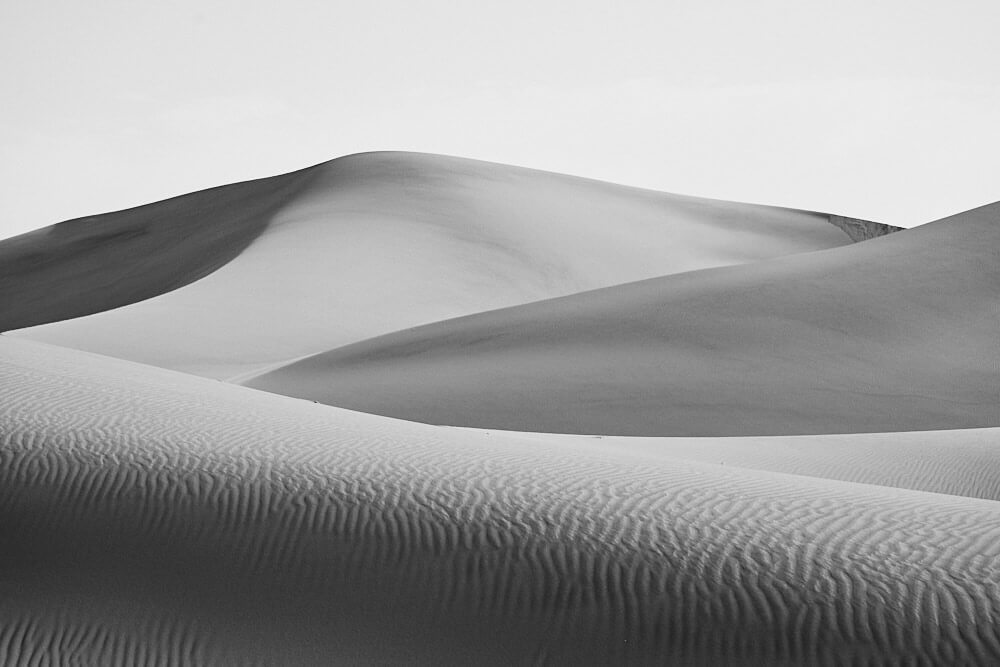 The picture shows impressions from the dunes around Swakopmund in black and white.