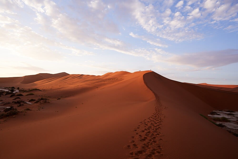This picture shows a red dune in the morning light during the ascent in Sesriem.