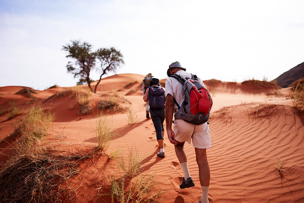Dieses Bild zeigt unsere Gruppe beim Wandern durch die Wüste