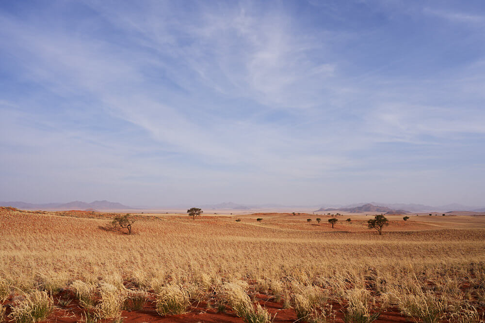This picture shows the landscape of the Namib
