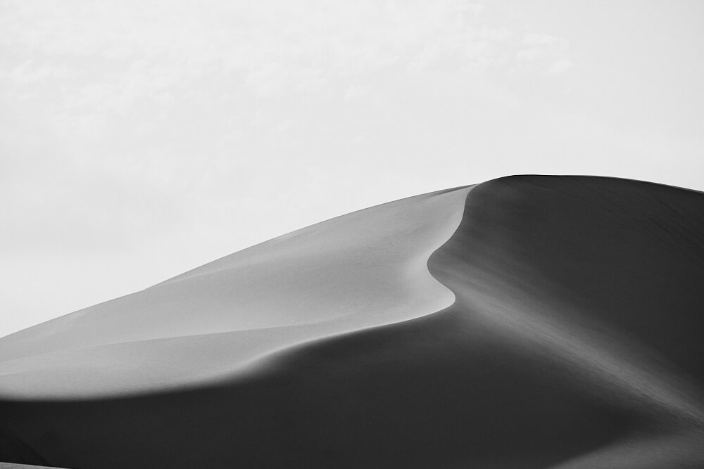 The picture shows impressions from the dunes around Swakopmund in black and white.
