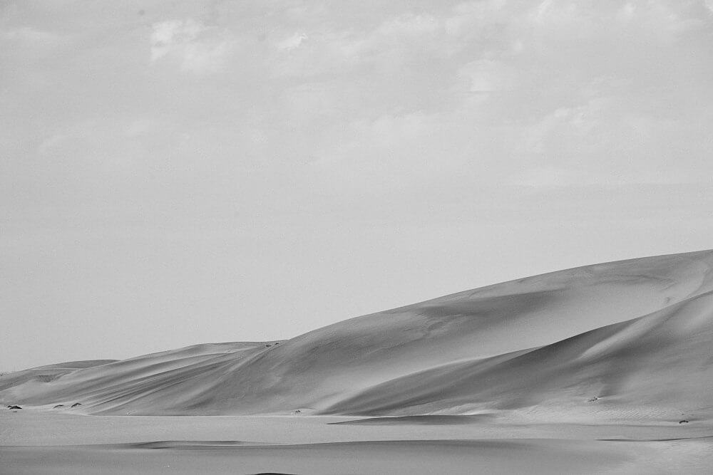 The picture shows impressions from the dunes around Swakopmund in black and white.