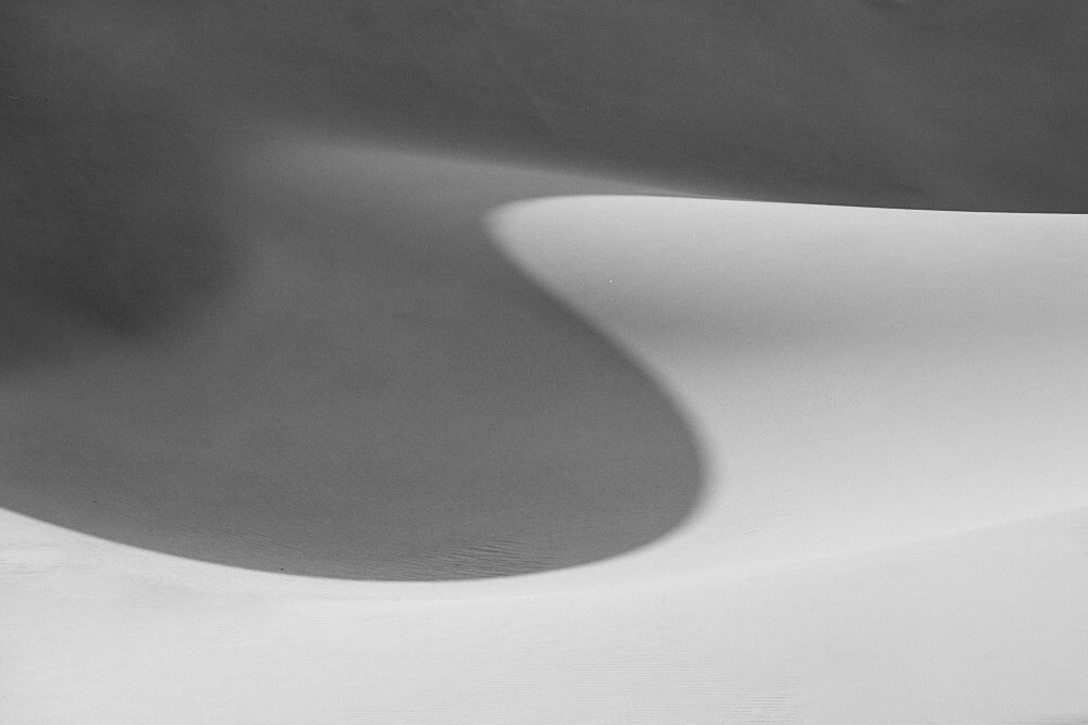 The picture shows impressions from the dunes around Swakopmund in black and white.