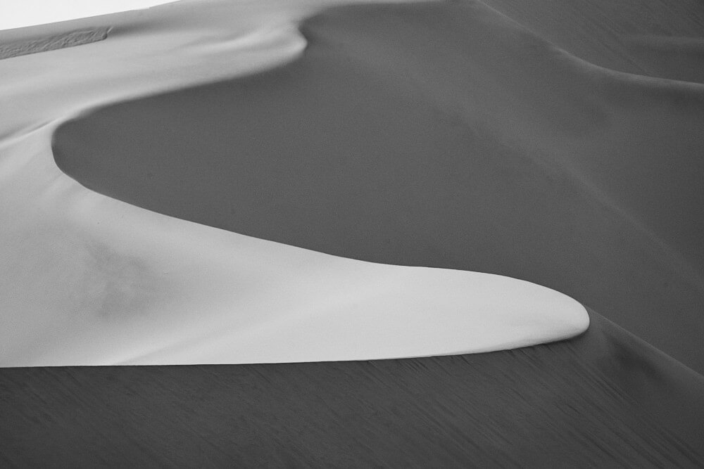 The picture shows impressions from the dunes around Swakopmund in black and white.