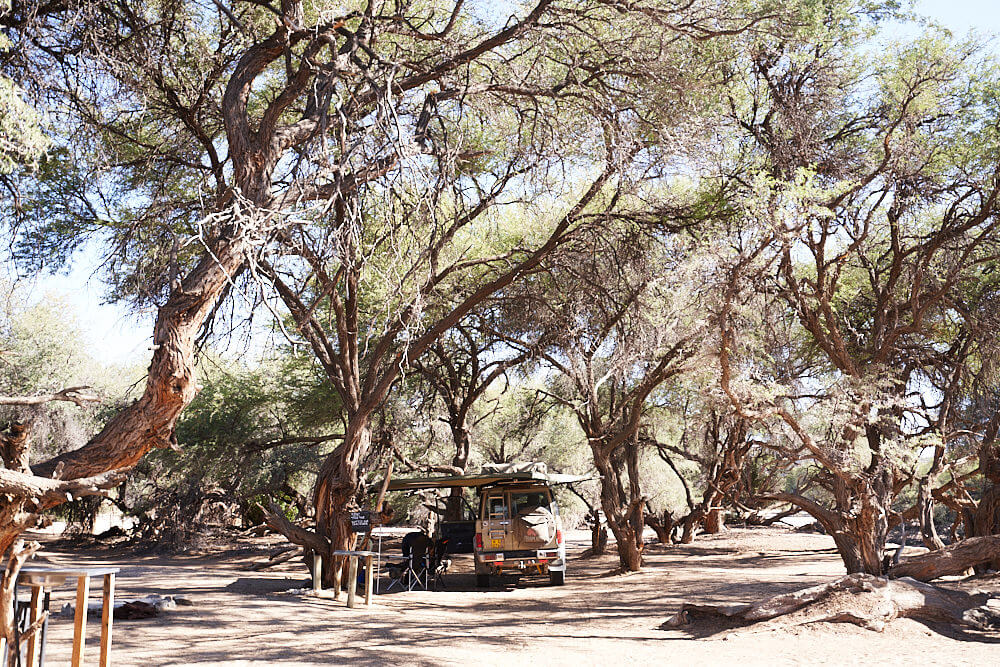 Das Bild zeigt unseren Land Cruiser  76 auf der Omenje Campsite in Purros