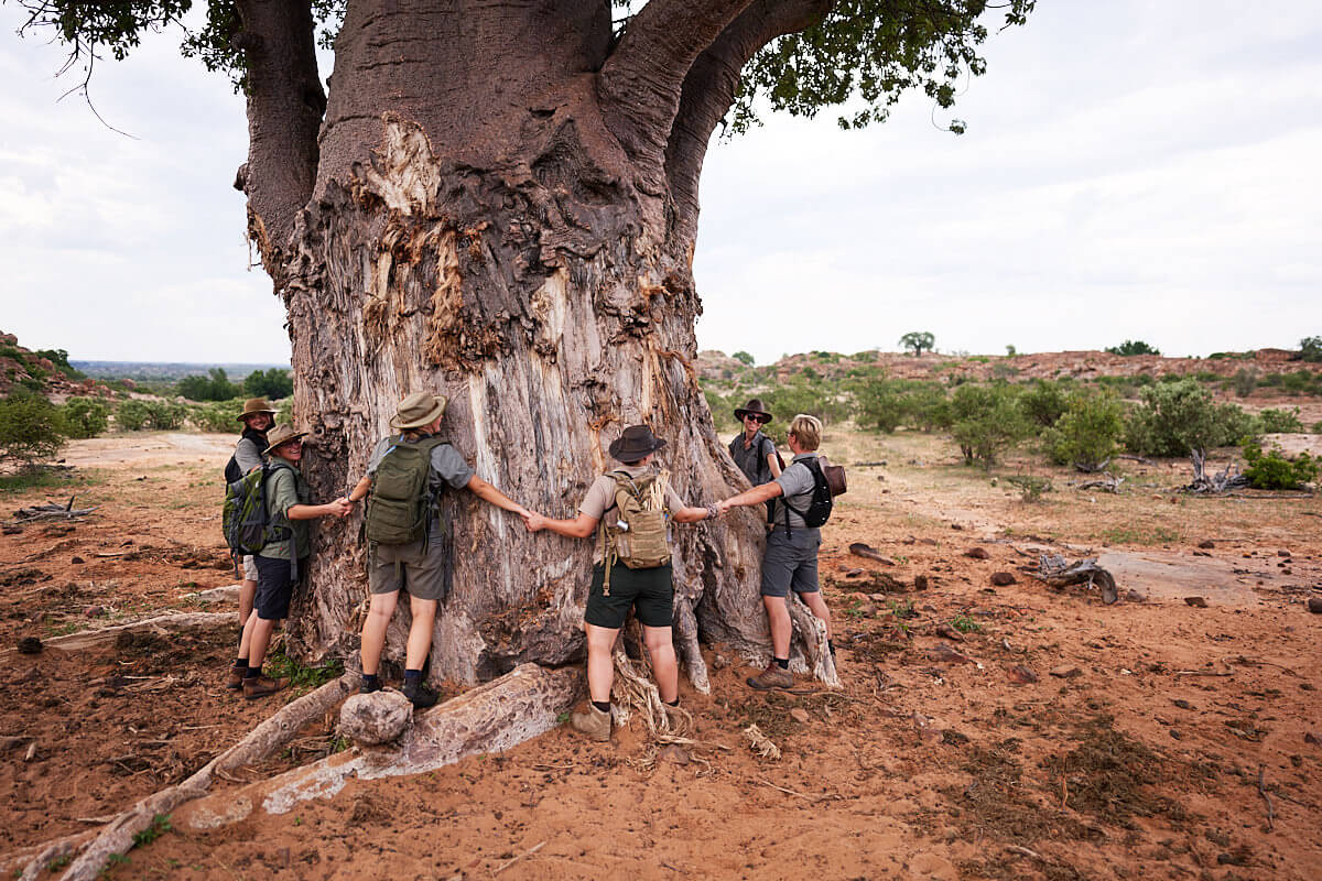 Das Bild zeigt eine Gruppe junger Menschen, die einen Baobab umarmen.
